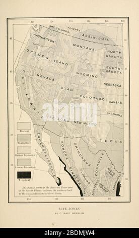 Manuale di uccelli degli Stati Uniti occidentali Foto Stock