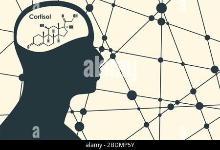 Cortisolo dell'ormone steroide Illustrazione Vettoriale