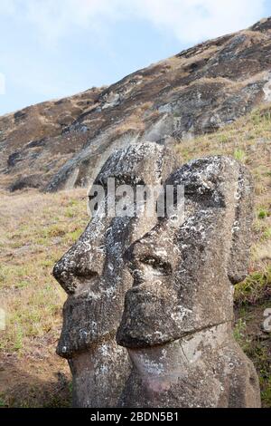 Due moai a Rano Raraku, la cava per la maggior parte delle statue di pietra giganti dell'isola di Pasqua, Foto Stock