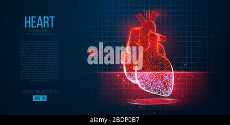 Sagoma astratta dell'organo poligonale del cuore. Scansione, ricerca e diagnosi del cuore umano Illustrazione Vettoriale