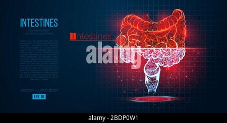Silhouette astratta dell'organo poligonale dell'intestino. Scansione, ricerca e diagnosi dell'intestino umano. Illustrazione Vettoriale