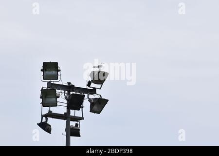 Gabbiano su fari di profondità con cielo bianco Foto Stock