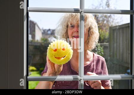 Donna che pulisce le sue finestre usando una spugna di pulizia di Scrub Daddy Foto Stock