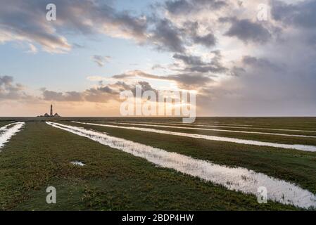 Faro Westerherversand, Westerhever, Mare del Nord, Schleswig-Holstein, Germania, Europa Foto Stock