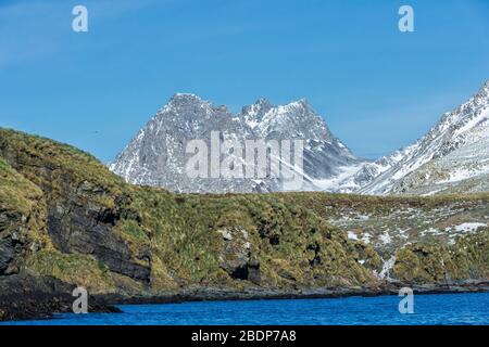 Montagne innevate, Elsehul Bay, South Georgia Island, Antartico Foto Stock