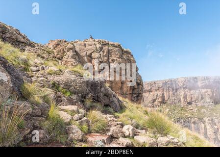 QWAQWA, SUDAFRICA - 3 MARZO 2020: Un pastore Basotho visto dalla cima delle scale della catena sul Sentinel sentiero escursionistico fino alle cascate Tugela Foto Stock