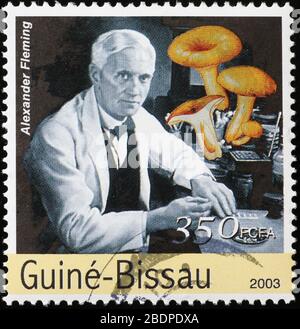 Ritratto di Alexander Fleming su timbro della Guinea Bissau Foto Stock