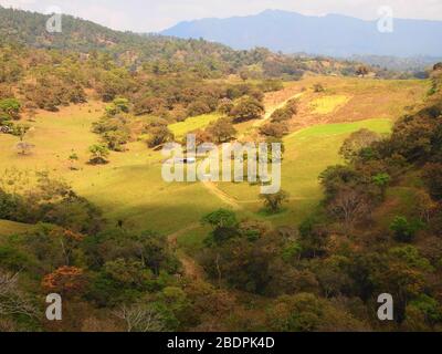 Foreste submontane tropicali vicino al sito archeologico di Toniná in Chiapas, Messico meridionale Foto Stock