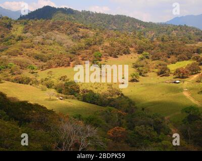 Foreste submontane tropicali vicino al sito archeologico di Toniná in Chiapas, Messico meridionale Foto Stock