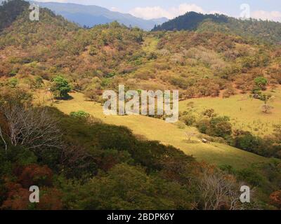 Foreste submontane tropicali vicino al sito archeologico di Toniná in Chiapas, Messico meridionale Foto Stock