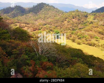 Foreste submontane tropicali vicino al sito archeologico di Toniná in Chiapas, Messico meridionale Foto Stock