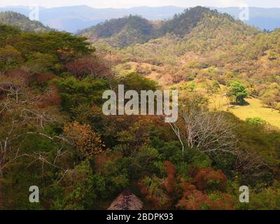 Foreste submontane tropicali vicino al sito archeologico di Toniná in Chiapas, Messico meridionale Foto Stock