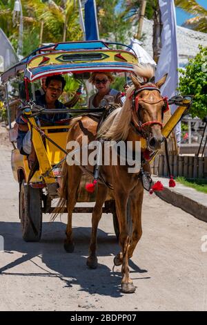 Primo piano verticale di un tradizionale taxi trainato da cavalli a Gili Trawangan, Indonesia. Foto Stock
