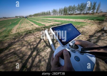 Wuzhong, la regione autonoma cinese di Ningxia Hui. 9 Aprile 2020. Un membro dello staff gestisce un veicolo aereo senza equipaggio per fertilizzare il grano in una zona di dimostrazione intelligente dell'agricoltura nel villaggio di Tawan del distretto di Litong, nella città di Wuzhong, nella regione autonoma di Ningxia Hui, nella Cina nord-occidentale, il 9 aprile 2020. Negli ultimi anni, l'autorità locale del distretto di Litong nella città di Wuzhong ha intensificato i grandi sforzi per sviluppare l'agricoltura intelligente, come un modo per migliorare l'efficienza e ridurre i costi di produzione. Credit: Feng Kaihua/Xinhua/Alamy Live News Foto Stock