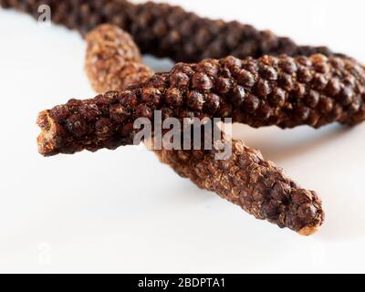 Pepe lungo (Piper longum), a volte chiamato pepe lungo indiano o pipi su sfondo bianco Foto Stock