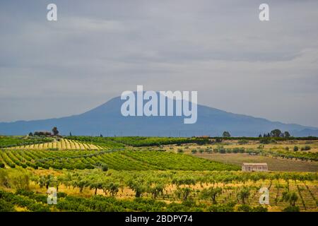 Vista sul vulcano Etna sullo sfondo con campi verdi e gialli e vigneto in una giornata estiva con cielo nuvoloso Foto Stock