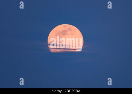Super Pink Moon, New York, USA - 07 Apr 2020 - UNA Super Pink Moon sorge sopra New York. Foto Stock