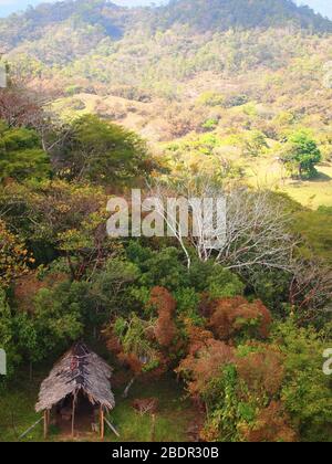 Campi e foreste vicino al sito archeologico di Toniná in Chiapas, Messico meridionale Foto Stock
