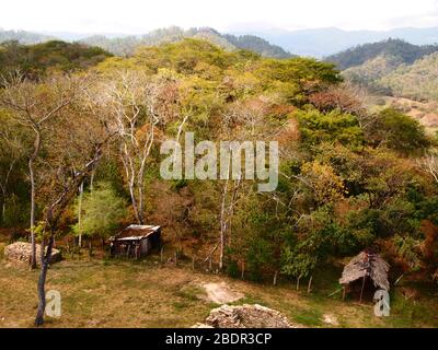 Foreste submontane tropicali vicino al sito archeologico di Toniná in Chiapas, Messico meridionale Foto Stock