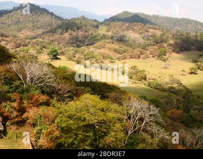 Foreste submontane tropicali vicino al sito archeologico di Toniná in Chiapas, Messico meridionale Foto Stock