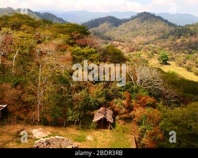 Foreste submontane tropicali vicino al sito archeologico di Toniná in Chiapas, Messico meridionale Foto Stock