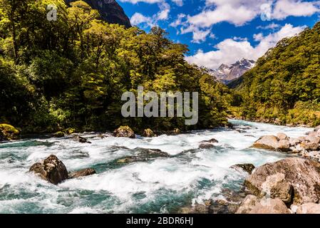 Panorama a Falls Creek sul fiume Hollyford, Southland, Nuova Zelanda Foto Stock