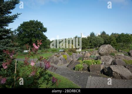 Una rockery all'Orto Botanico di Reykjavík, Islanda Foto Stock