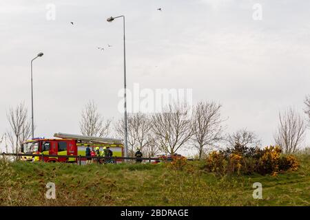 Cork, Irlanda. 9 Aprile 2020. Le piaghe del buon tempo a nord con Gorsefires, Cork City. Con l'arrivo del bel tempo negli ultimi giorni, la parte settentrionale della città di Cork è stata afflitta da incendi boschivi illegali che prendono il tempo prezioso dei nostri servizi di emergenza. Almeno due sono state illuminate nel Glen Park nell'ultima settimana. I vigili del fuoco di Ballyvolane Fire Brigade hanno fortunatamente catturato il fuoco di oggi prima che si diffondesse ulteriormente. Credit: Damian Coleman/Alamy Live News Foto Stock