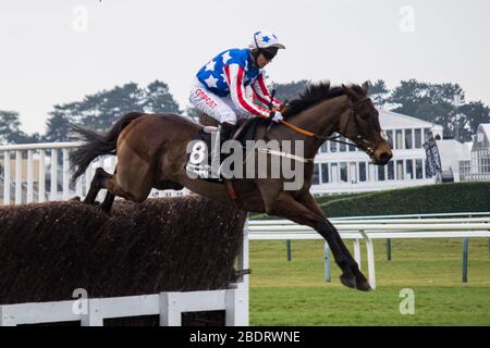 Speciale Tiara in volo durante il 2016 Queen Mother Champion Chase all'ippodromo di Cheltenham. Lewis Mitchell Foto Stock