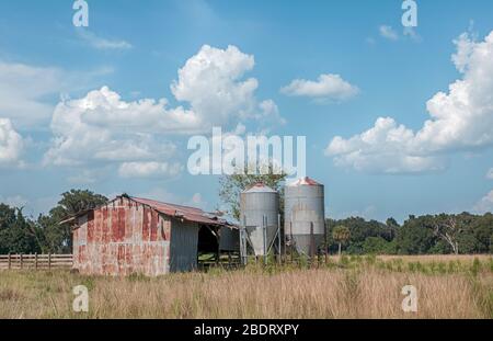 Vecchio fienile di metallo con silos di metallo. Ci sono cieli blu, scherma, piante erbose e alberi verdi. Fienile sembra essere abbandonato. Foto Stock