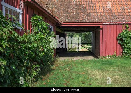 Uscita dal cortile con tradizionali edifici in pannelli rossi nel paesaggio agricolo nel quartiere di Skane, Svezia Foto Stock