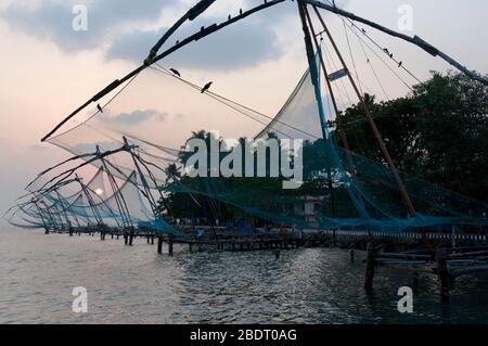 La famosa pesca cinese (Cheena vala) si tramonta all'estuario a Fort Kochi (Cochin), Kerala, India Foto Stock