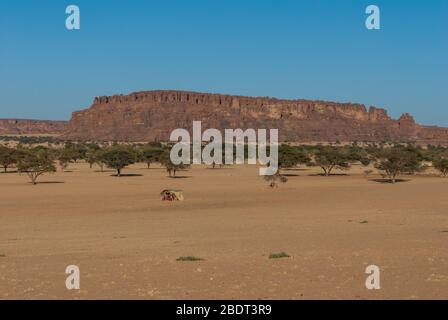 Formazioni rocciose naturali, alberi e capanna di nomade, altopiano di Ennedi nel Sahara dessert, Ciad, Africa Foto Stock