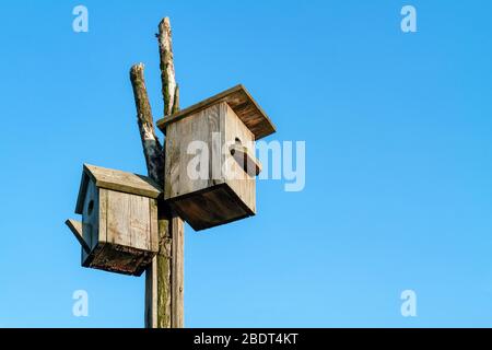 Due scatole di legno caserecci su sfondo blu cielo Foto Stock