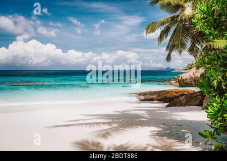 Vacanza in visita di esotica spiaggia di sabbia tropicale sull'isola di Mahe, Seychelles. Destinazione esotica di viaggio in stagione. Foto Stock