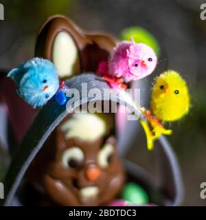 Eindhoven, Paesi Bassi. 9 aprile 2020. EIDHOVEN, 09-04-2020, coniglietto di Pasqua con uova di cioccolato di Pasqua il Giovedi Maundy. Credito: Pro Shots/Alamy Live News Foto Stock