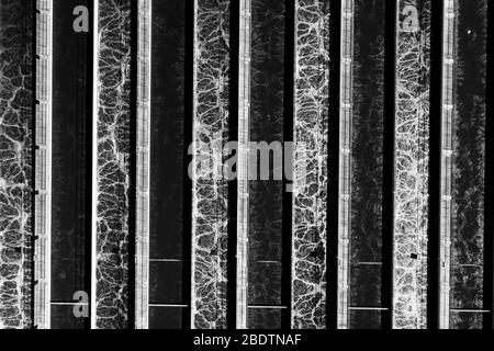 Impianto di trattamento dell'acqua antenna in bianco e nero Foto Stock