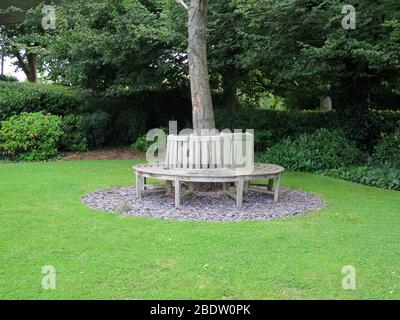 Panca circolare in legno intorno all'albero in giardino sulle rive del Tamigi a Caversham, Berkshire, Inghilterra Foto Stock