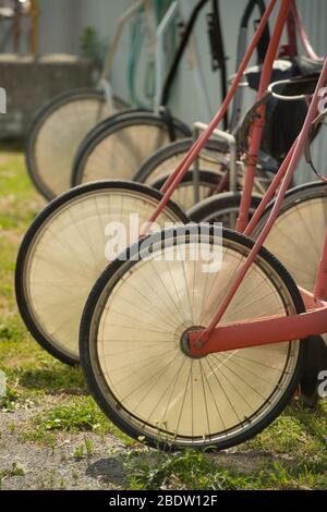 Linea di ruote anteriori di carrelli da corsa con imbracatura standard con forcella rossa e razze nere in fila Foto Stock