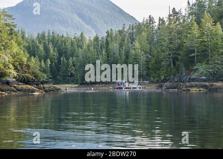 Foreste, isole e montagne stanno facendo strati durante il sole in Tofino Canada. Foto Stock