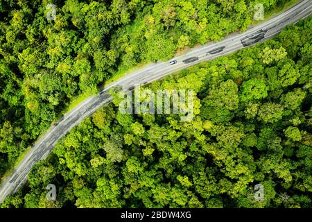 Vista aerea su una strada della foresta pluviale nel nord del Queensland. Foto Stock
