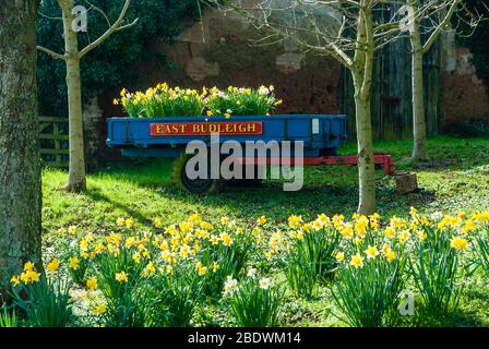 Vincitori del concorso Gran Bretagna in fiore. Foto Stock