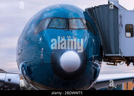 Ottobre 29, 2019, Mosca, Russia. Piano Airbus A350-900 Vietnam Airlines presso l'aeroporto di Sheremetyevo di Mosca. Foto Stock