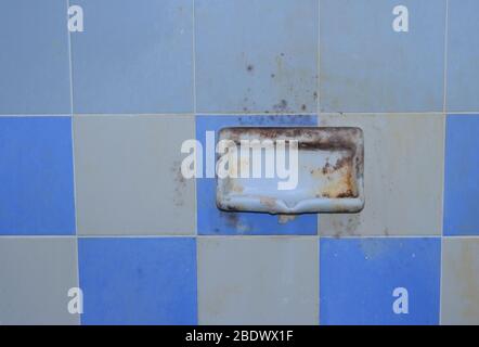 Piatto di sapone sporco trascurato con le muffe che crescono sulla superficie, questo può causare la malattia o l'allergia, concetto di pulizia Foto Stock