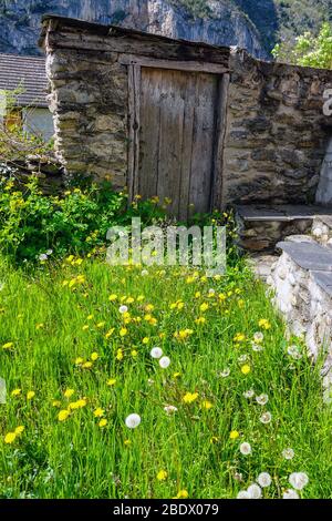 Vecchio cancello di legno abbandonato con erba verde e fiori di dente di leone, Tarascon sur Ariege, Francia Foto Stock