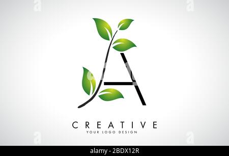 Lettera di foglia UN disegno di Logo con foglie verdi su una filiale. Lettera A con concetto di natura. Illustrazione vettoriale di lettera ecologica e organica. Illustrazione Vettoriale