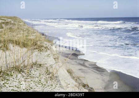 Spiaggia e erosione delle dune, North Carolina Foto Stock