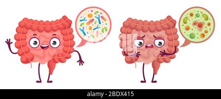 Microflora intestinale. Cura del sistema digestivo, batterie intestinali e probiotici cartoni animati illustrazione vettoriale Illustrazione Vettoriale