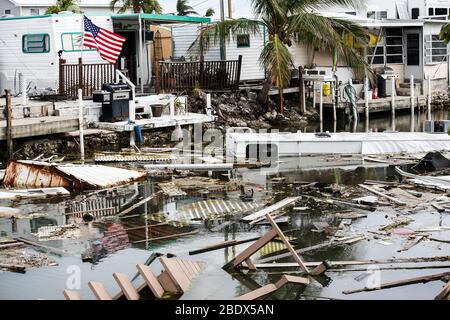 Uragano postumi di Irma Foto Stock