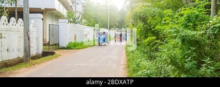 Tuk tuks escursione lungo la strada. Lo Sri Lanka. Messa a fuoco selettiva. la natura. Foto Stock